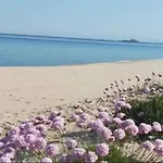 Terrazza Vista Mare - Lmvacanza Apartmán Badesi